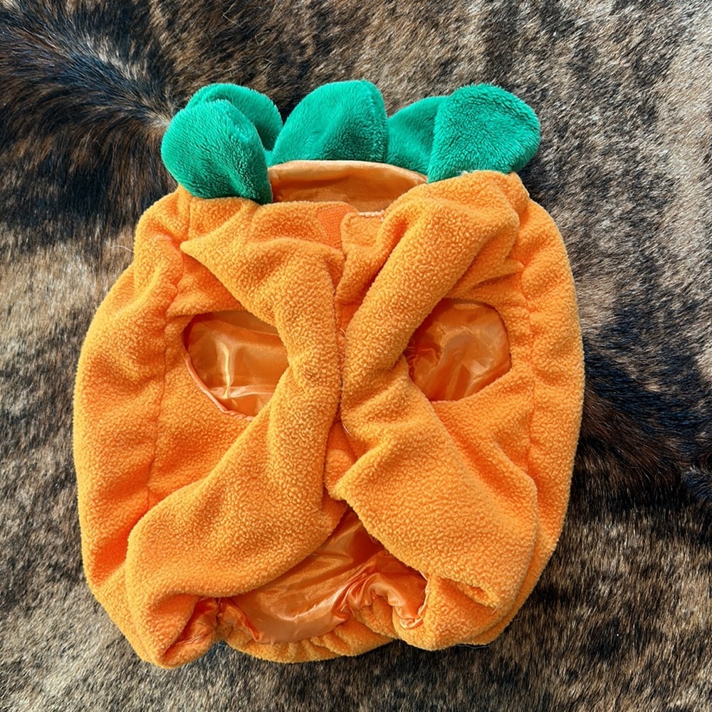 Pumpkin dog costume - Picture 2 of 3